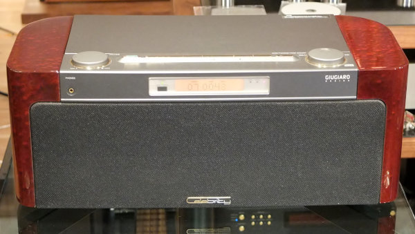 SONY Celebrity GIUGIARO D-3000 - その他